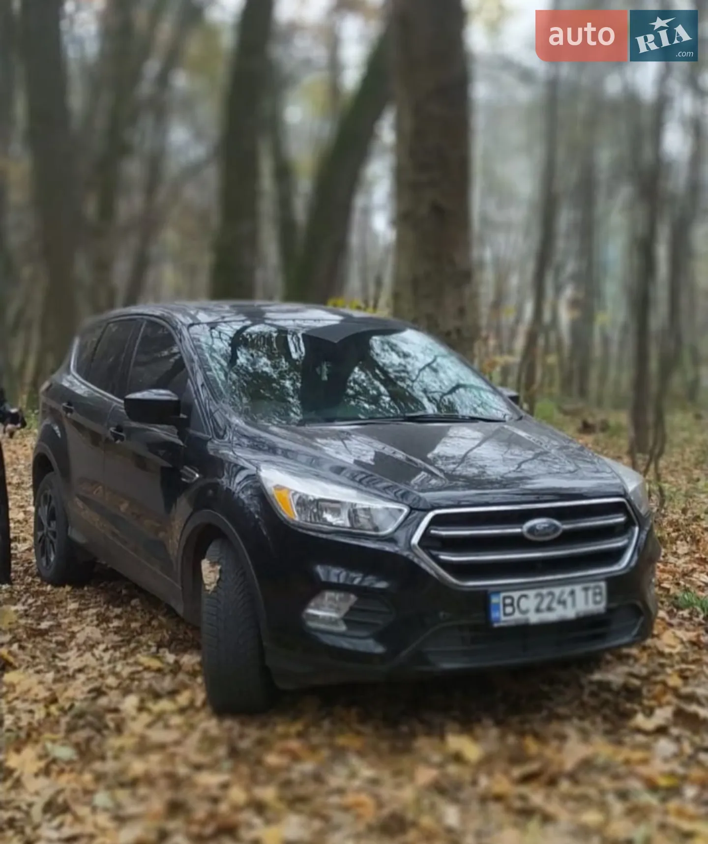 2017 Ford Escape - фото 1