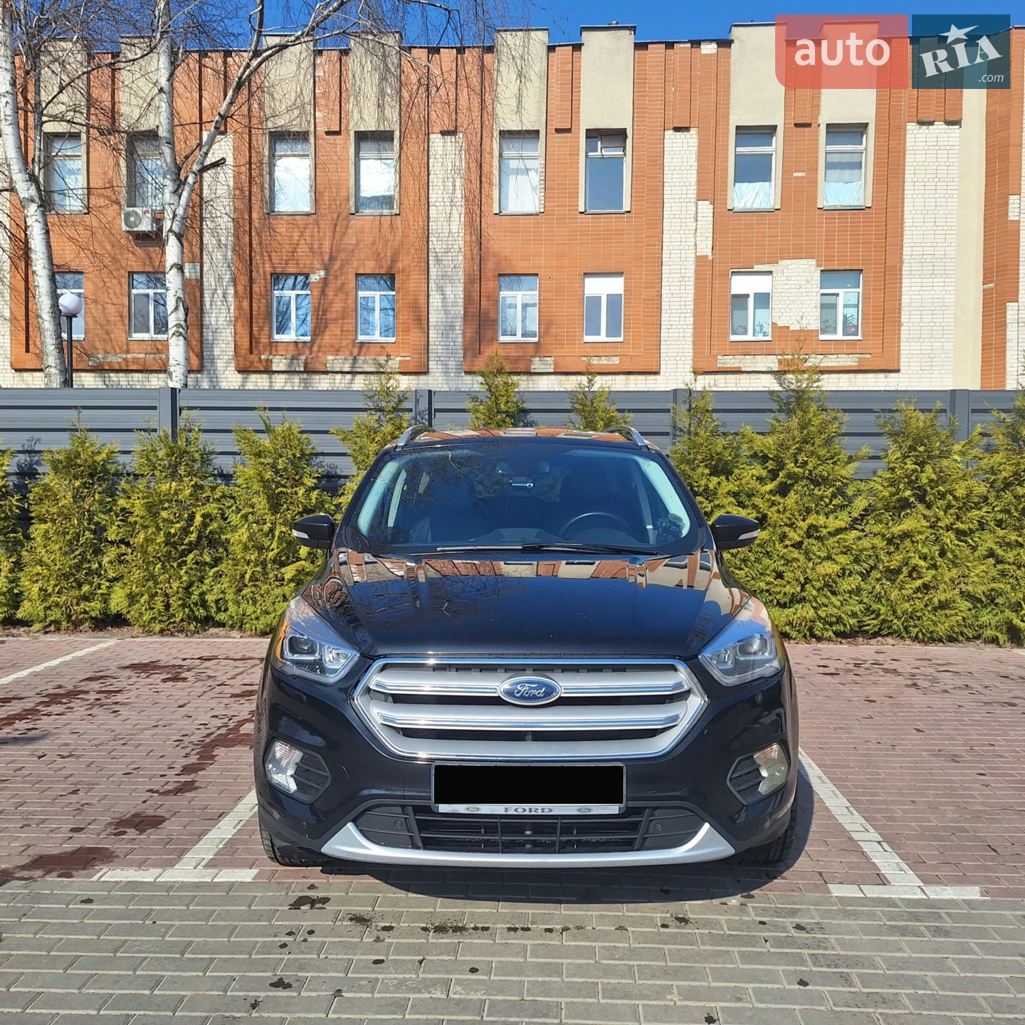 2019 Ford Escape - мініатюра 4