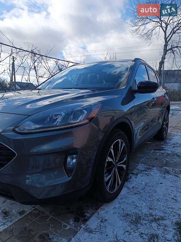 Внедорожник / Кроссовер Ford Escape 2021 в Киеве
