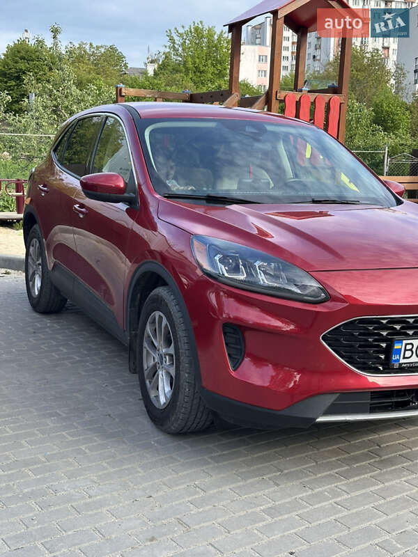 Внедорожник / Кроссовер Ford Escape 2020 в Тернополе