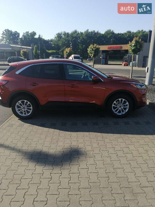 Внедорожник / Кроссовер Ford Escape 2020 в Хмельницком