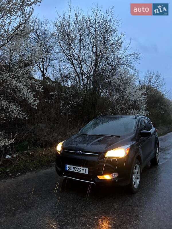 Внедорожник / Кроссовер Ford Escape 2016 в Бережанах