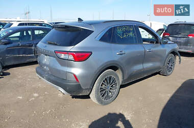 Внедорожник / Кроссовер Ford Escape 2021 в 