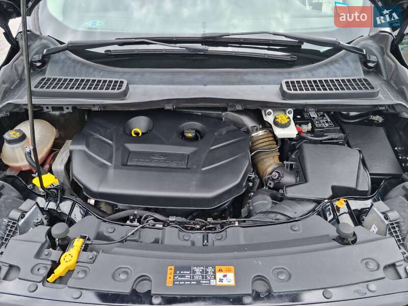 Внедорожник / Кроссовер Ford Escape 2017 в Новоукраинке