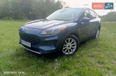 Позашляховик / Кросовер Ford Escape 2020 в 