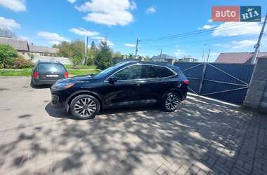 Внедорожник / Кроссовер Ford Escape 2019 в 