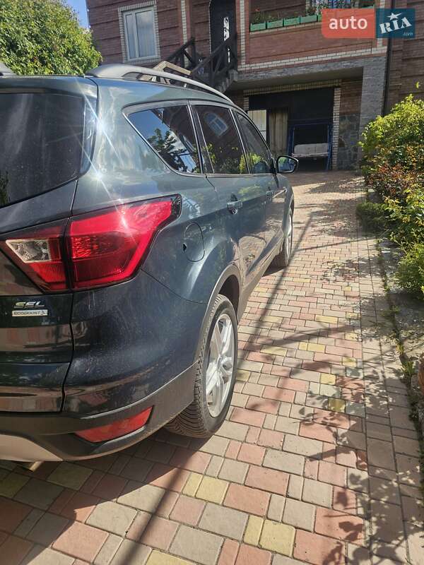 Внедорожник / Кроссовер Ford Escape 2019 в Умани фото 5 Внедорожник / Кроссовер Ford Escape 2019 в Умани