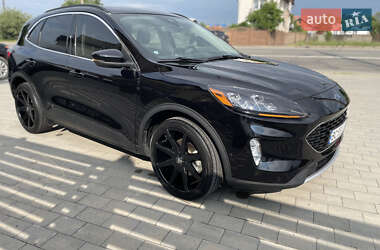 Внедорожник / Кроссовер Ford Escape 2020 в 