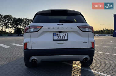 Внедорожник / Кроссовер Ford Escape 2020 в 