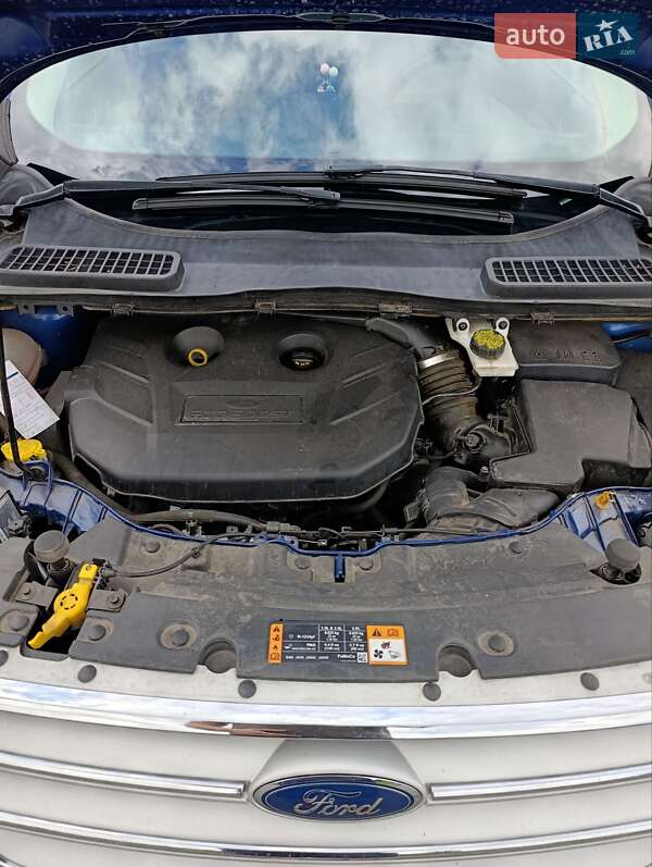 Внедорожник / Кроссовер Ford Escape 2019 в Изяславе