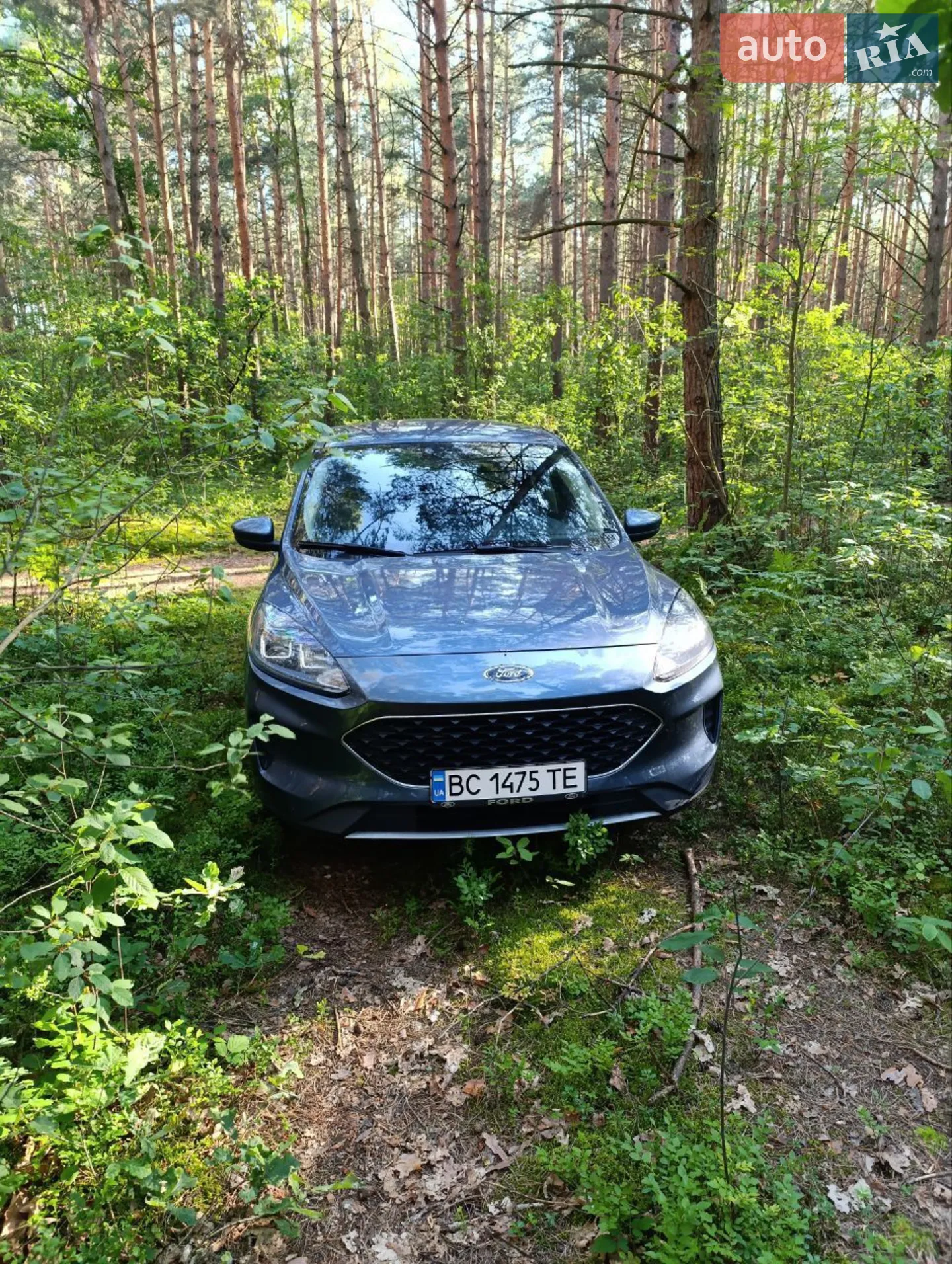 2020 Ford Escape - мініатюра 6