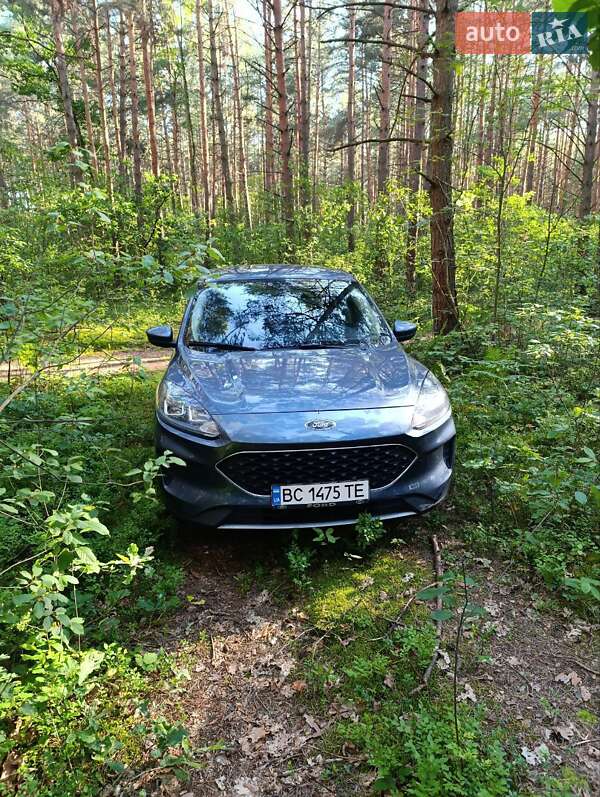 Позашляховик / Кросовер Ford Escape 2020 в Рава-Руській