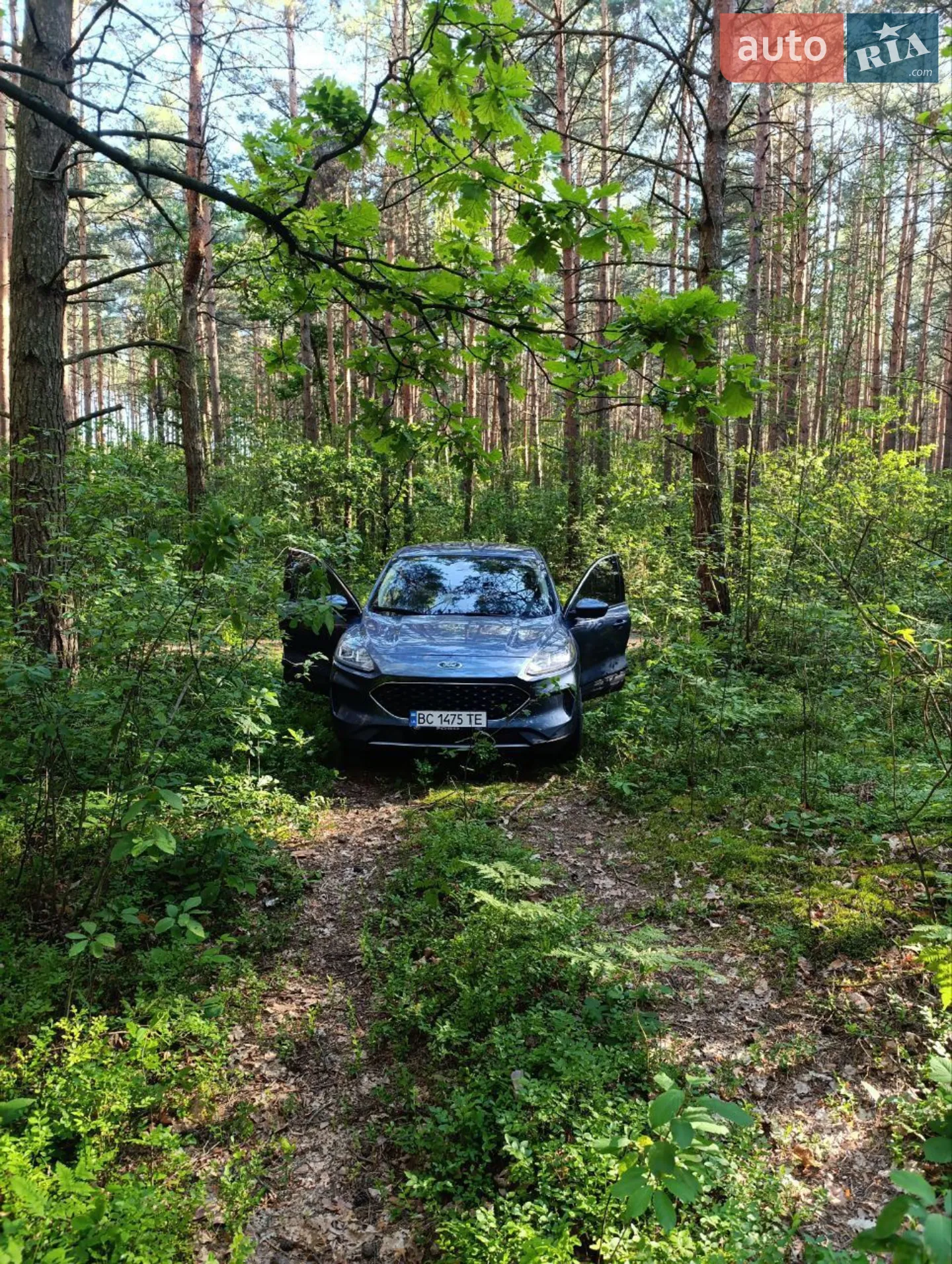 2020 Ford Escape - мініатюра 11