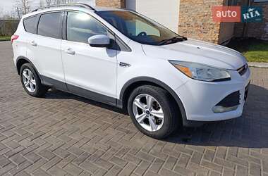 Позашляховик / Кросовер Ford Escape 2014 в Луцьку