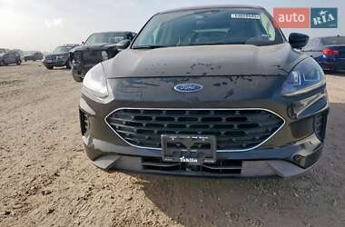 Внедорожник / Кроссовер Ford Escape 2021 в 