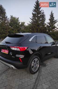 Внедорожник / Кроссовер Ford Escape 2021 в 