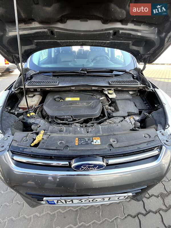 Позашляховик / Кросовер Ford Escape 2013 в Ружині