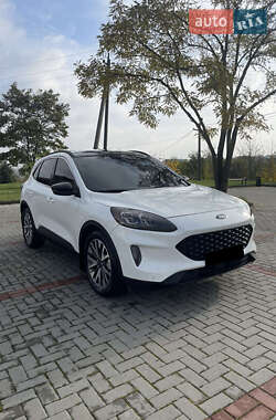 Внедорожник / Кроссовер Ford Escape 2020 в Полтаве
