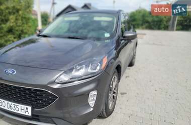Внедорожник / Кроссовер Ford Escape 2019 в Тернополе