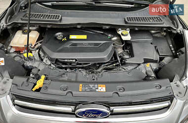 Позашляховик / Кросовер Ford Escape 2014 в Бучі