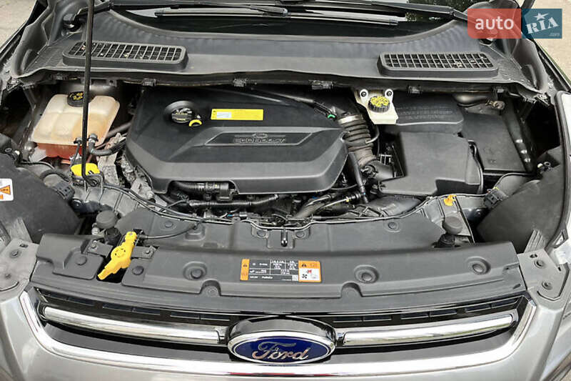 Внедорожник / Кроссовер Ford Escape 2014 в Буче фото 24 Внедорожник / Кроссовер Ford Escape 2014 в Буче