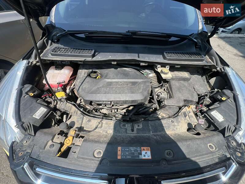 Внедорожник / Кроссовер Ford Escape 2014 в Киеве