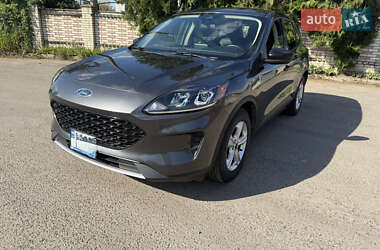 Внедорожник / Кроссовер Ford Escape 2019 в Ровно