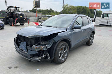 Позашляховик / Кросовер Ford Escape 2024 в Львові