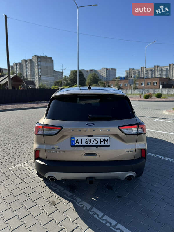 Внедорожник / Кроссовер Ford Escape 2020 в Хмельницком фото 8 Внедорожник / Кроссовер Ford Escape 2020 в Хмельницком