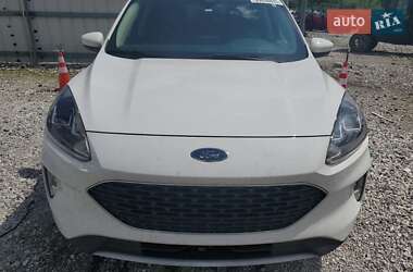 Внедорожник / Кроссовер Ford Escape 2020 в 