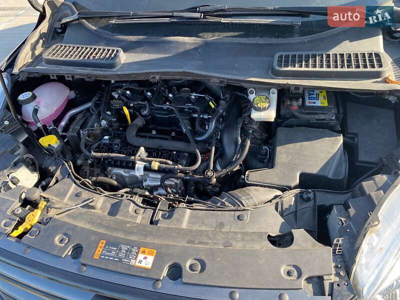 Внедорожник / Кроссовер Ford Escape 2019 в Виннице