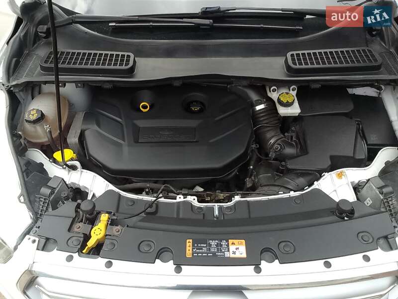 Внедорожник / Кроссовер Ford Escape 2016 в Чернигове