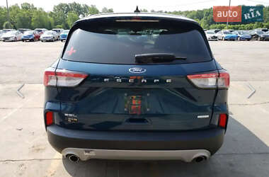 Внедорожник / Кроссовер Ford Escape 2020 в 