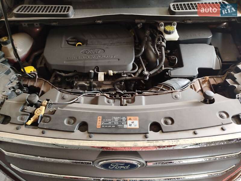 Внедорожник / Кроссовер Ford Escape 2017 в Ахтырке