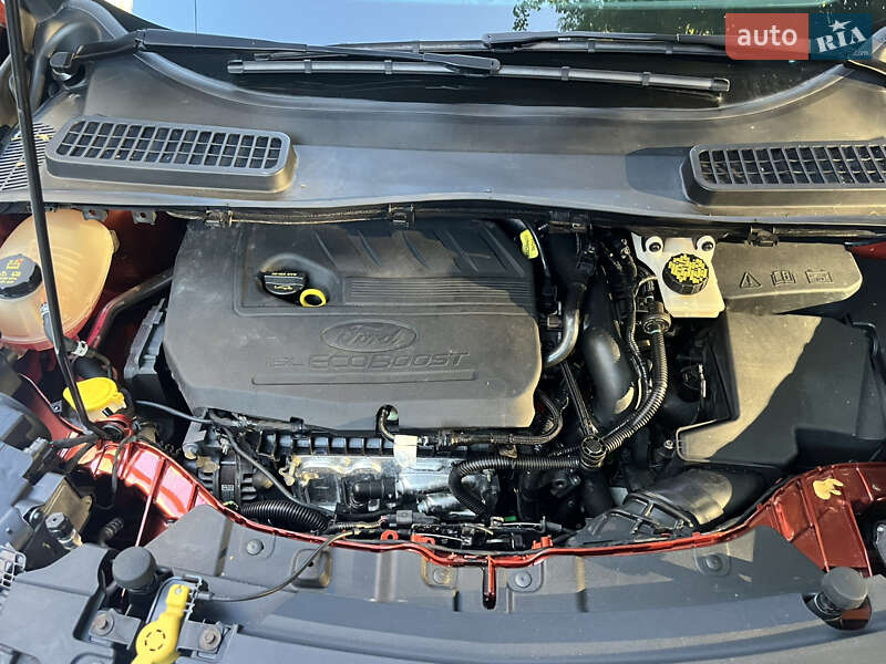 Внедорожник / Кроссовер Ford Escape 2018 в Львове фото 31 Внедорожник / Кроссовер Ford Escape 2018 в Львове