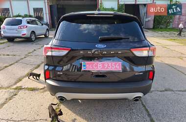 Внедорожник / Кроссовер Ford Escape 2021 в 