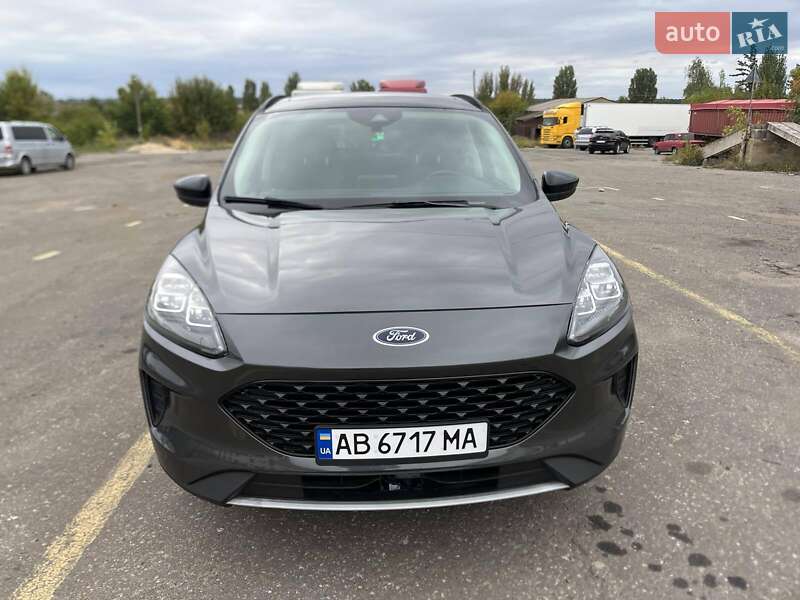 Внедорожник / Кроссовер Ford Escape 2020 в Шаргороде фото 5 Внедорожник / Кроссовер Ford Escape 2020 в Шаргороде