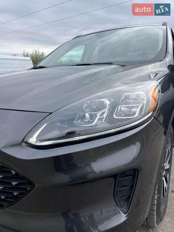 Внедорожник / Кроссовер Ford Escape 2020 в Шаргороде фото 8 Внедорожник / Кроссовер Ford Escape 2020 в Шаргороде