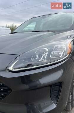 Внедорожник / Кроссовер Ford Escape 2020 в 