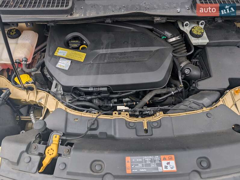 Внедорожник / Кроссовер Ford Escape 2014 в Ровно