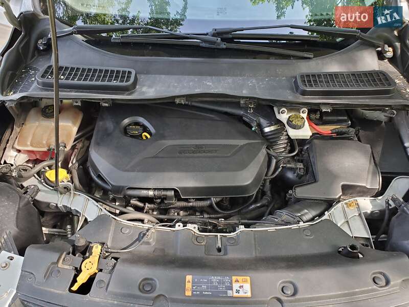Внедорожник / Кроссовер Ford Escape 2013 в Днепре