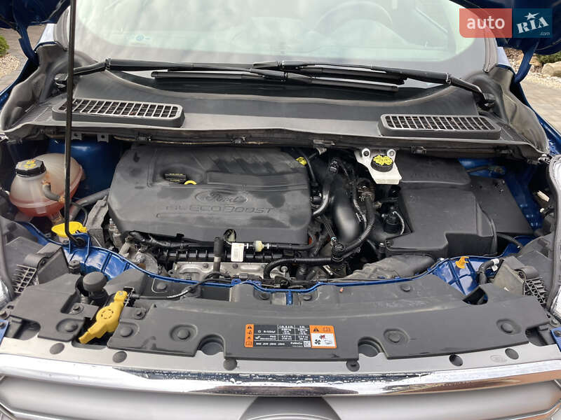 Позашляховик / Кросовер Ford Escape 2017 в Рівному фото 30 Позашляховик / Кросовер Ford Escape 2017 в Рівному