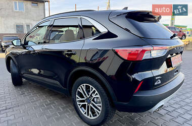 Внедорожник / Кроссовер Ford Escape 2020 в Каменец-Подольском
