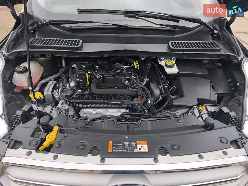 Внедорожник / Кроссовер Ford Escape 2019 в Стрые фото 55 Внедорожник / Кроссовер Ford Escape 2019 в Стрые