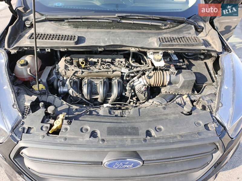 Внедорожник / Кроссовер Ford Escape 2018 в Днепре фото 16 Внедорожник / Кроссовер Ford Escape 2018 в Днепре
