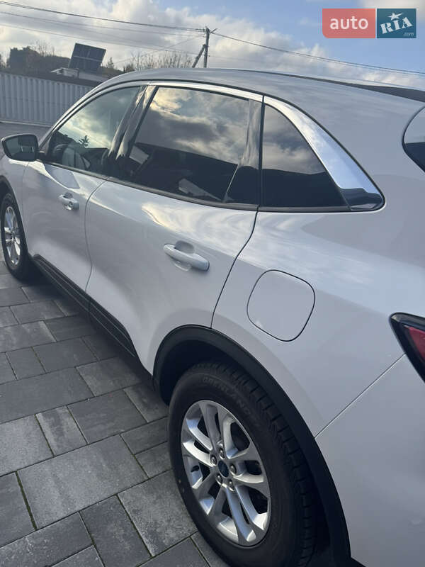 Позашляховик / Кросовер Ford Escape 2021 в Львові