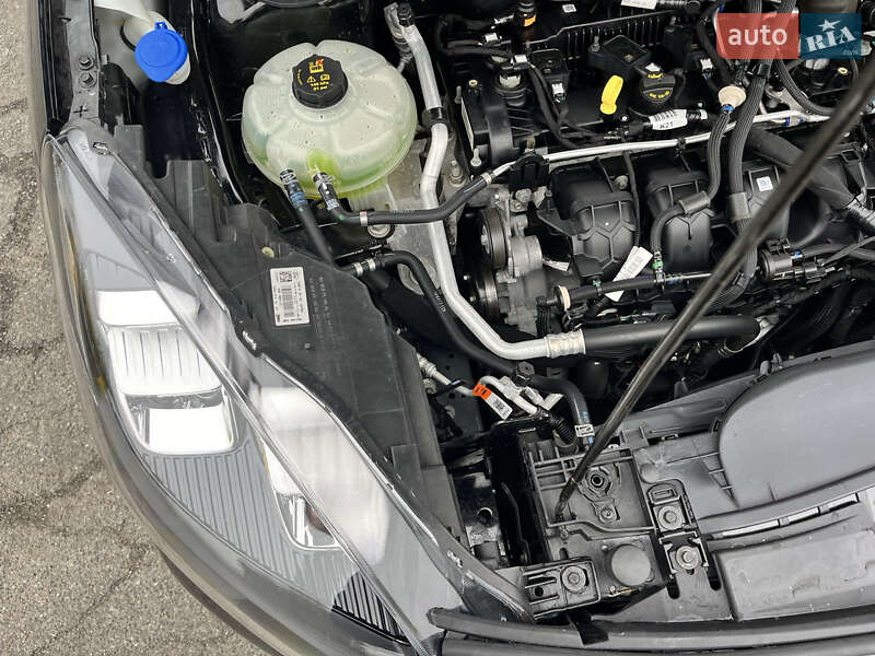 Внедорожник / Кроссовер Ford Escape 2022 в Василькове фото 62 Внедорожник / Кроссовер Ford Escape 2022 в Василькове