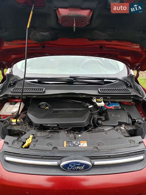 Позашляховик / Кросовер Ford Escape 2013 в Єланці