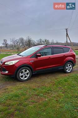 Внедорожник / Кроссовер Ford Escape 2013 в Еланце