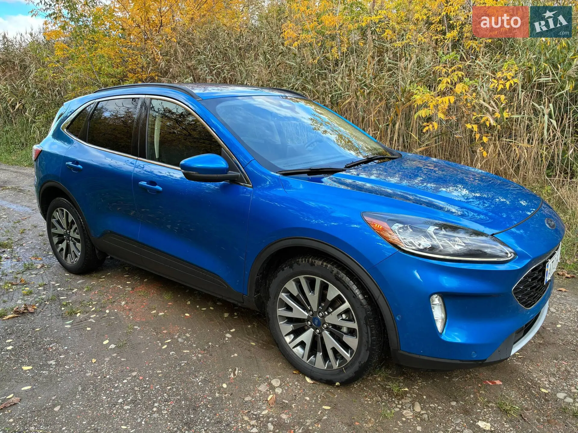 2019 Ford Escape - мініатюра 4